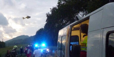 Waldviertel: Wienerin stirbt bei Frontal-Crash