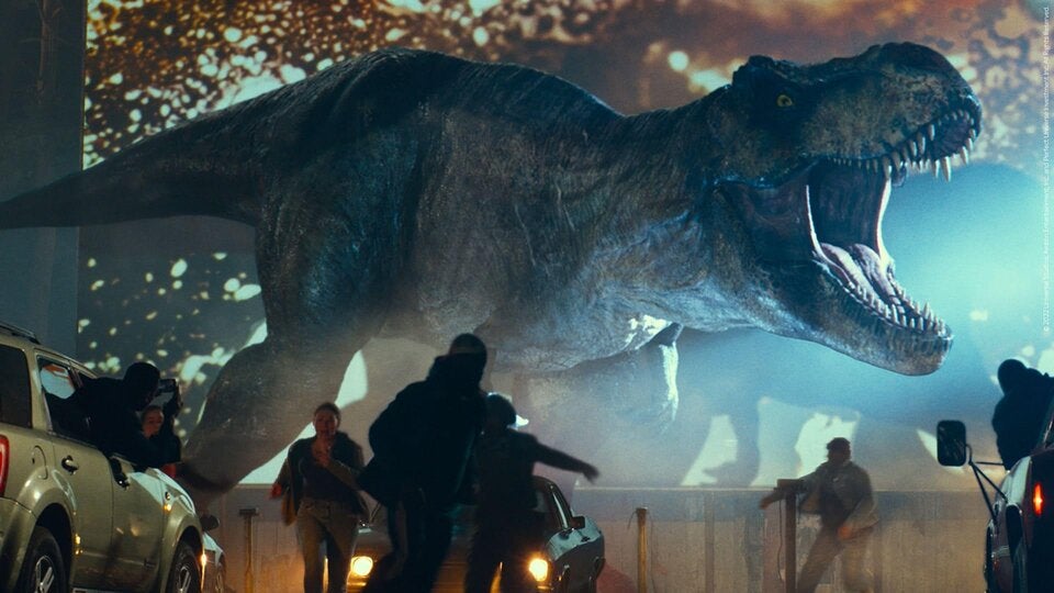 Seit Jahren breiten sich die Tiere aus.