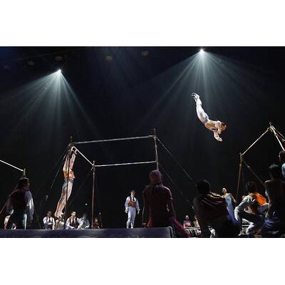 Corteo - Die besten Bilder