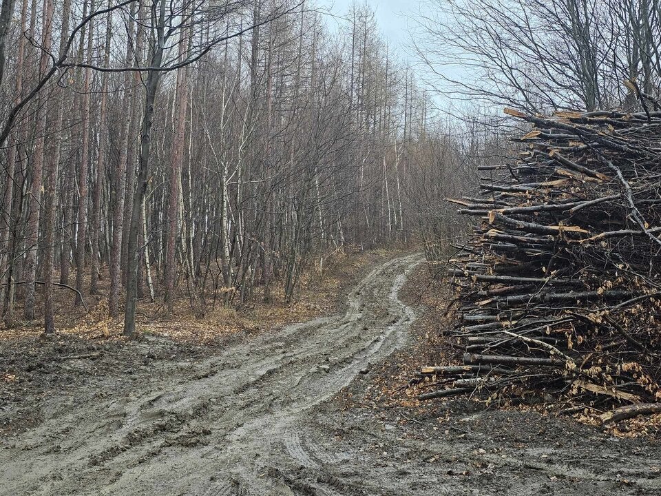 Frauenleiche Wienerwald