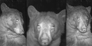 B&auml;r Colorado Selfie