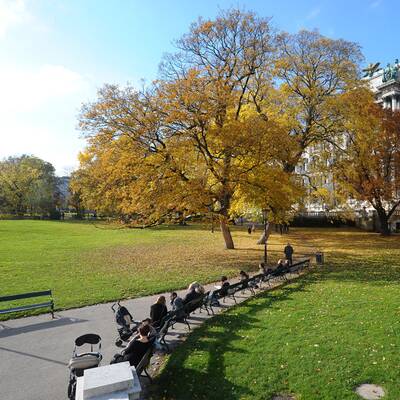 Wenn das kein Herbst ist...