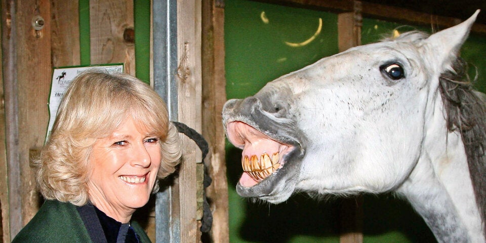 Camilla: Die Geliebte ist jetzt 