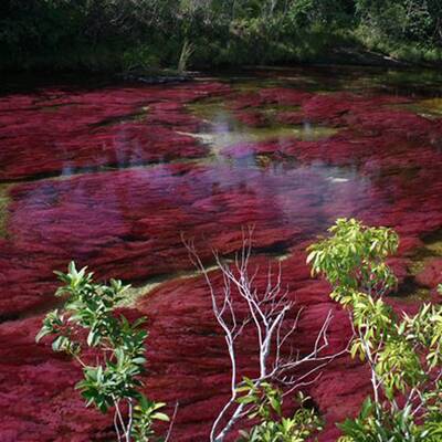 Die schönsten Naturschauspiele