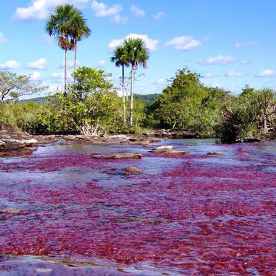 Die schönsten Naturschauspiele