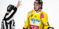 Vienna Capitals
