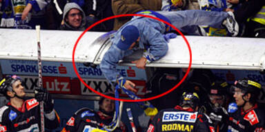 capitals fan viillach