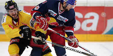 Capitals, Bullen in European Trophy