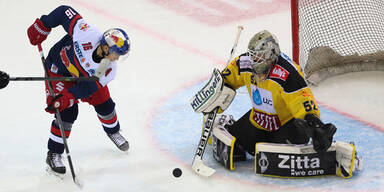 Vienna Capitals Red Bull Salzburg