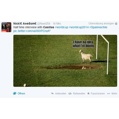So verhöhnt das Internet Casillas