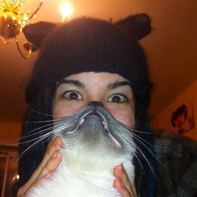 Cat Bearding