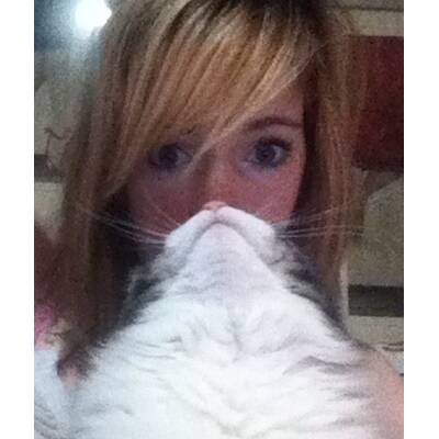 Cat Bearding