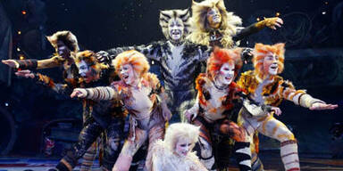 "Cats" schnurren bald wieder in Wien