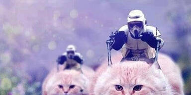 So unterst&uuml;tzt das Netz Belgiens Polizei