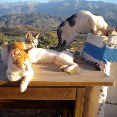 Daniela Danzer: Ihr Leben auf der Insel