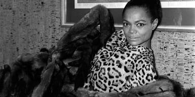 Angelina Jolie könnte die nächste Catwoman sein