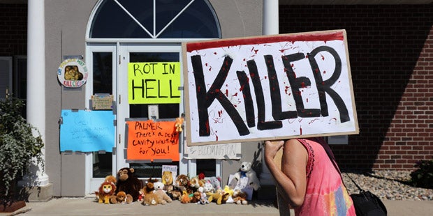 Alle jagen den Löwen-Killer