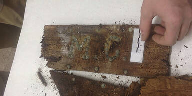 Sarg von Miguel de Cervantes entdeckt