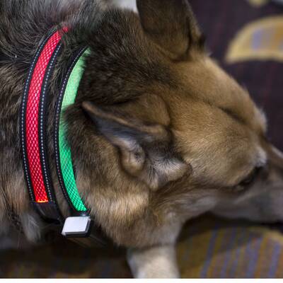 CES 2017 - Die Gadgets