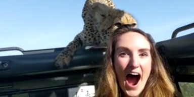 cheetahwoman.PNG