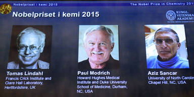 Chemie Nobelpreis 2015
