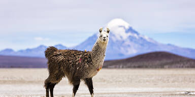 Das sind die Top-Reiseziele 2018