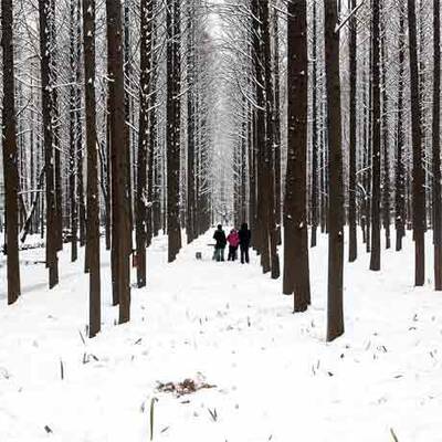 Schnee-Chaos in China