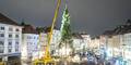Grazer Christbaum wurde schon aufgestellt.