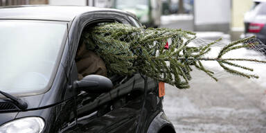 Falscher Christbaum-Transport kann teuer werden