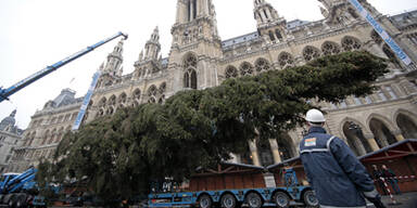 Weihnachtsgaudi vor dem Rathaus