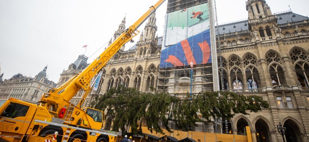 DAS ist der Rathaus-Christbaum 2019