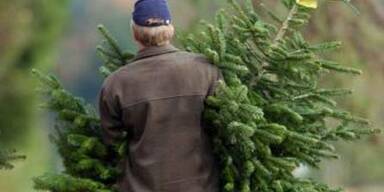 christbaum
