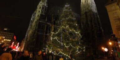 christbaum_stephansplatz_weihnachten