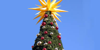 Wer hat den Christbaum erfunden?