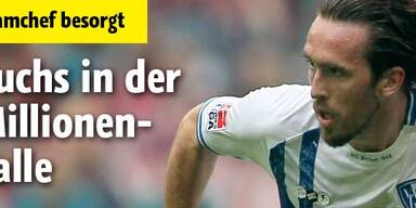 Fuchs in der Millionen-Falle