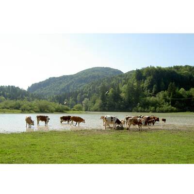 Die schönsten Urlaubsfotos