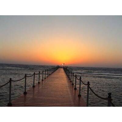 Die romantischsten Fotos