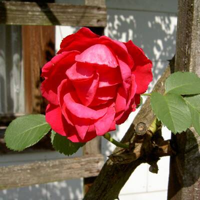 Die schönsten Urlaubsfotos