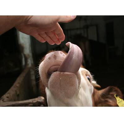 Die schönsten Urlaubsfotos