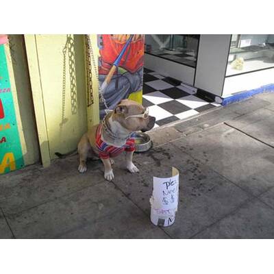 Alle lustigen Urlaubsfotos