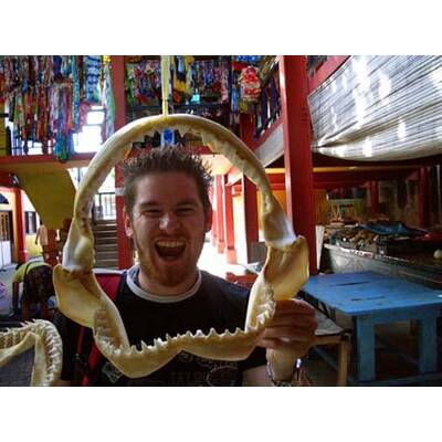 Alle lustigen Urlaubsfotos