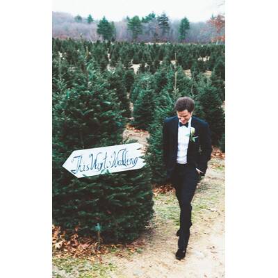 Romantische Hochzeit auf der Weihnachtsbaumfarm 