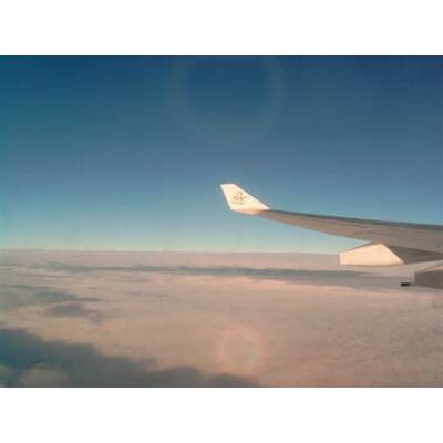 Die neuesten Urlaubsfotos