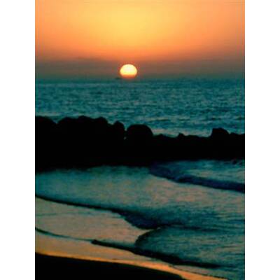 Die neuesten Urlaubsfotos