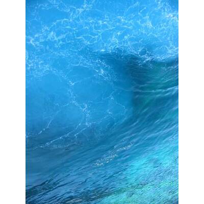 Die neuesten Urlaubsfotos