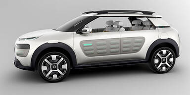 So sieht die Citroen-Studie Cactus aus