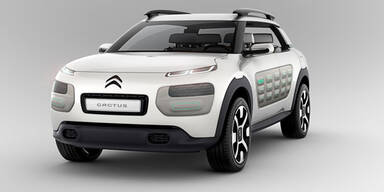 So sieht die Citroen-Studie Cactus aus