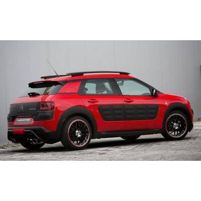C4 Cactus von Musketier