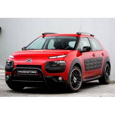 C4 Cactus von Musketier