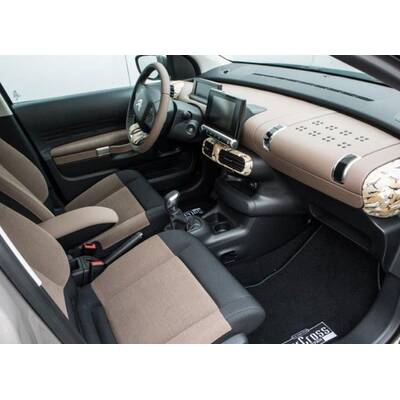 C4 Cactus von Musketier